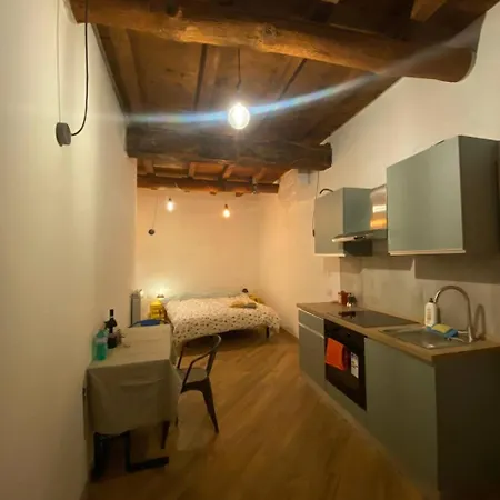 Ruti's House - Monolocale Con Travi A Vista Vicino Malpensa E Milano Rho Fiera Apartamento *
